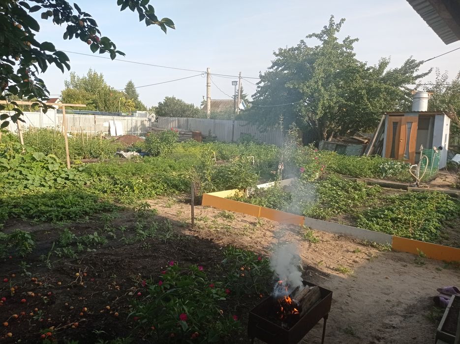Продам дачу с насажденьями