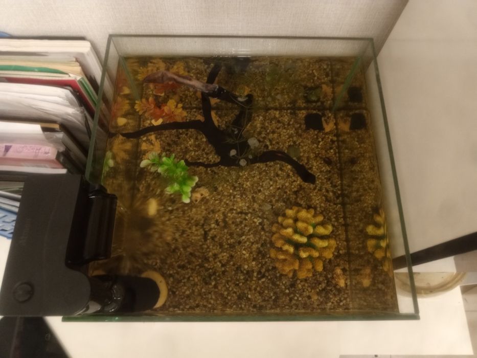 Аквариум, Akvarium Большой аквариум