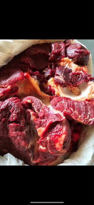 жылқы еті жілікке 2600тг