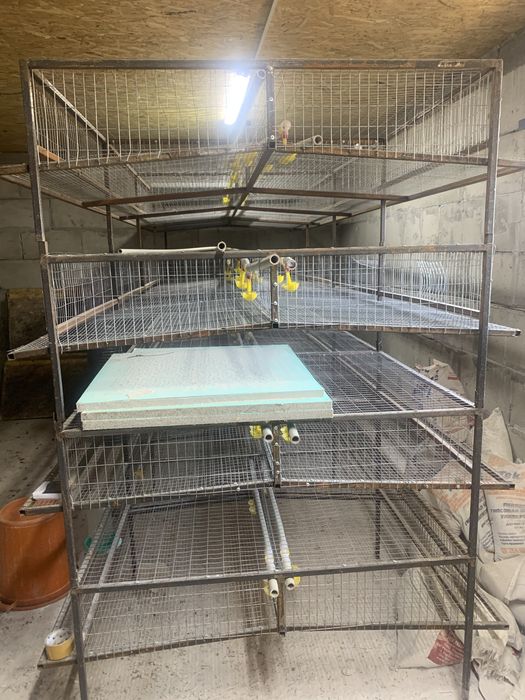 Клетка для перепелок на 900 голов