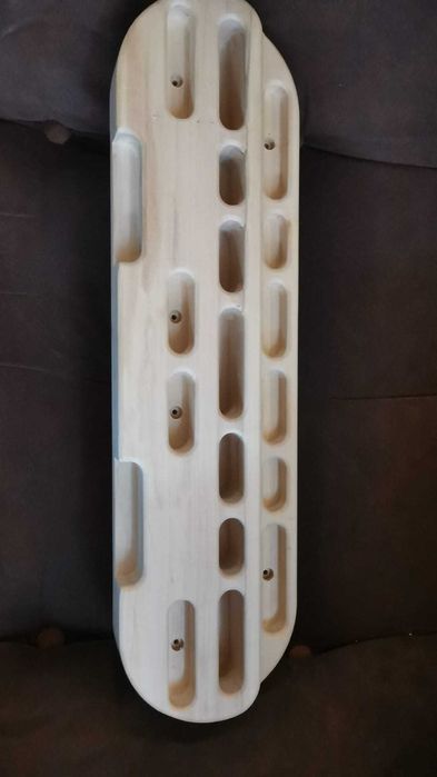 placa hangboard salewa nomad beastmaker