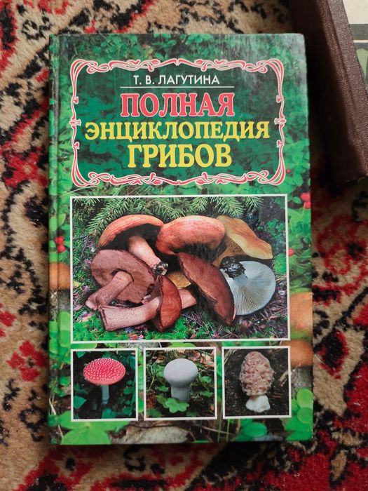 Любая книга за 400