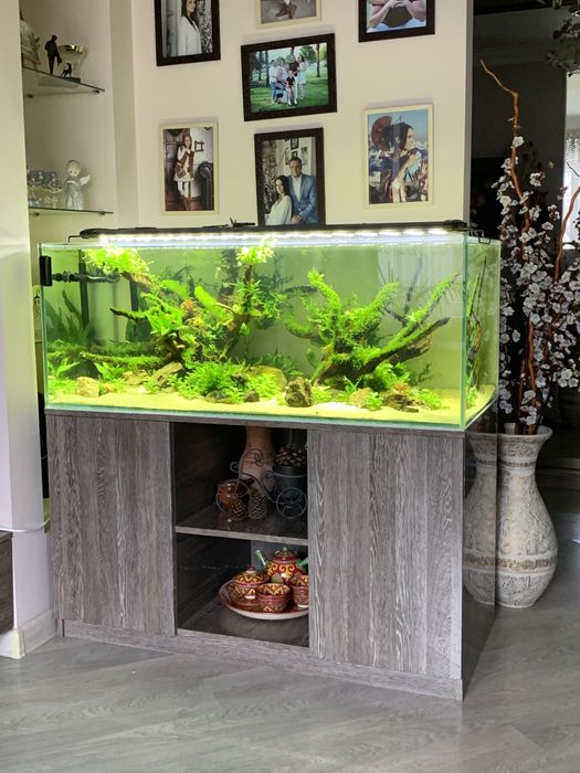 Дизайн аквариумов