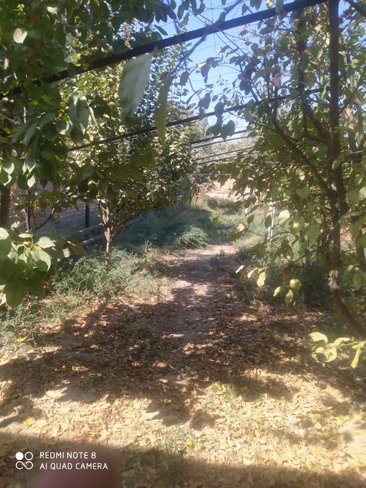 Продаётся участок от солнечного базара 2 км на бетонки заезд  300 м