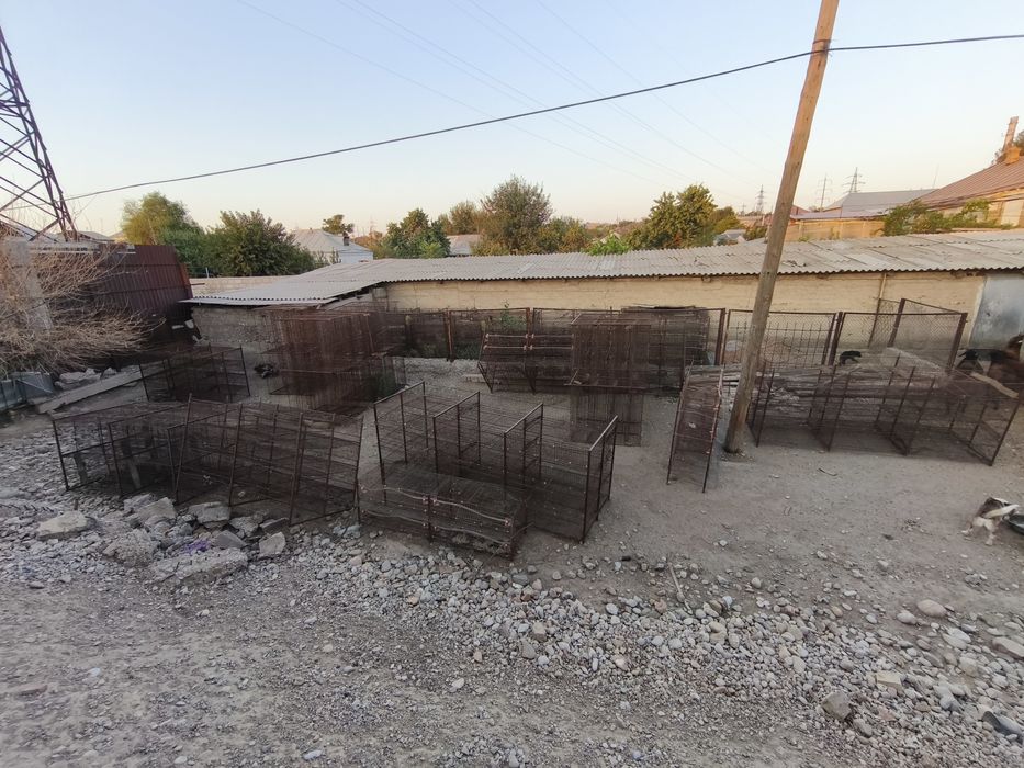 Продам клетки перепелиные