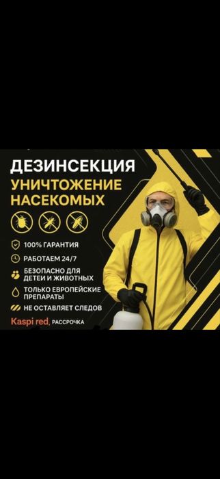 Дезинфекция клещей и комаров муравей