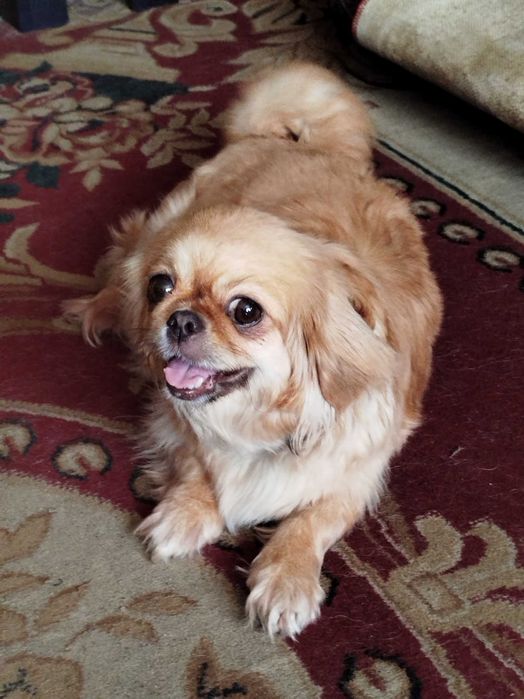 Невеста ищет достойного жениха