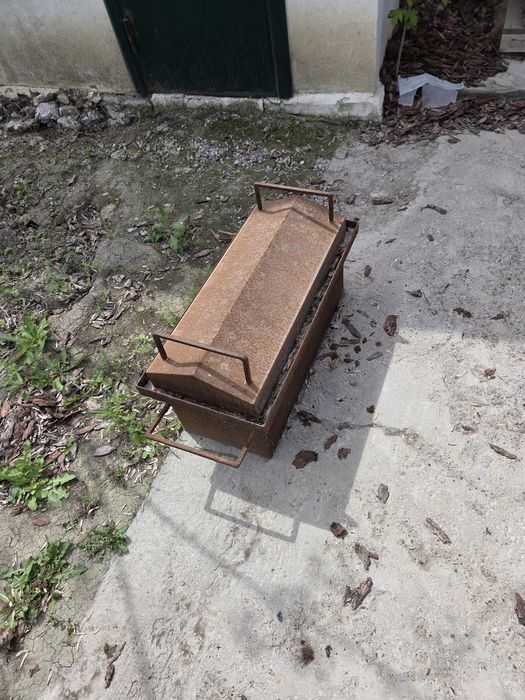 Коктальница для сазана