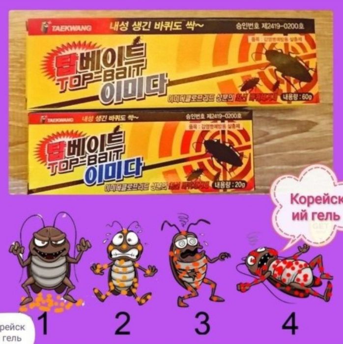 Tarakan,suvarak,klapa,pawwa,chivin,chumoli,kaltakesak,sichqon,kalamush