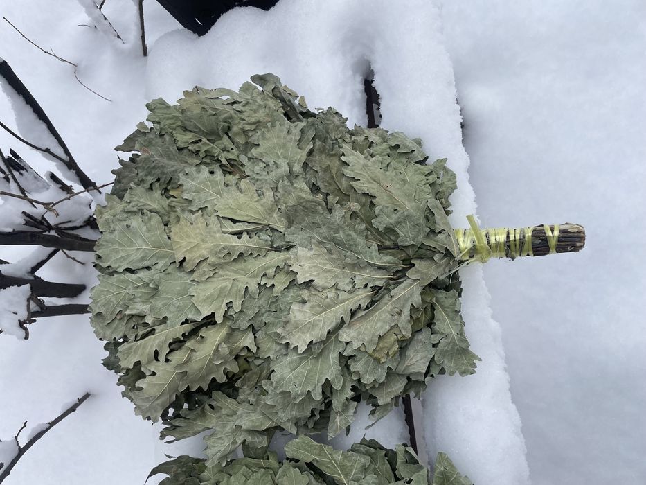 Дубовые веники