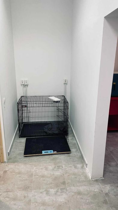 Cabinet medical veterinar cu toate aprobarile si utilitatile, situat in Cluj Napoca. Toata aparatura este noua, renovare facuta recent.