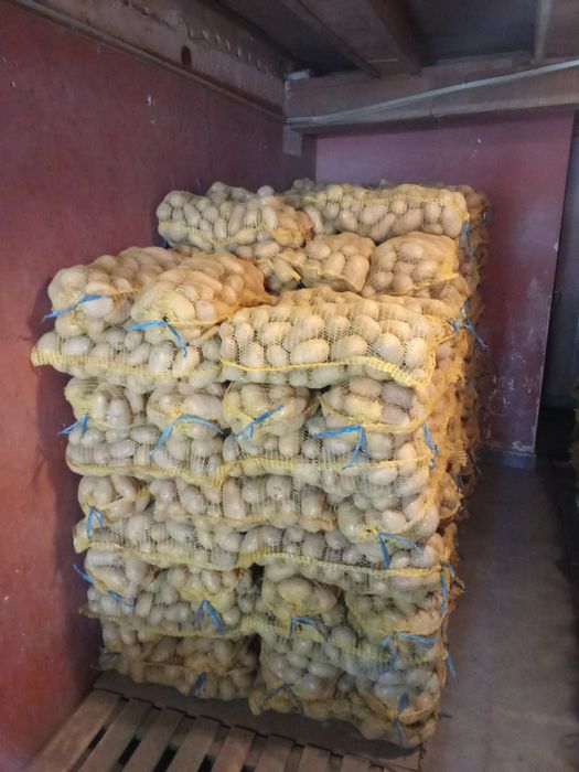 Картофи Сорая, Марабел, Вог