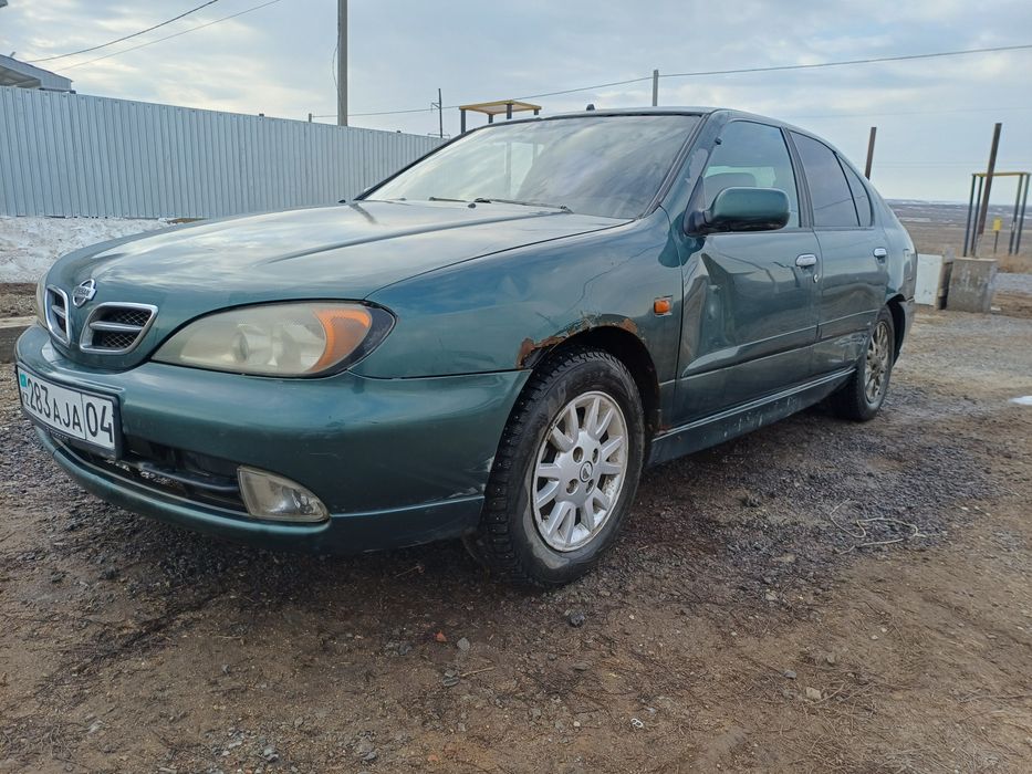 Ниссан p11 сатылады