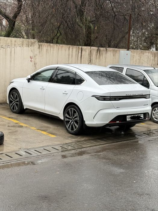 2023 холати ало топтоза