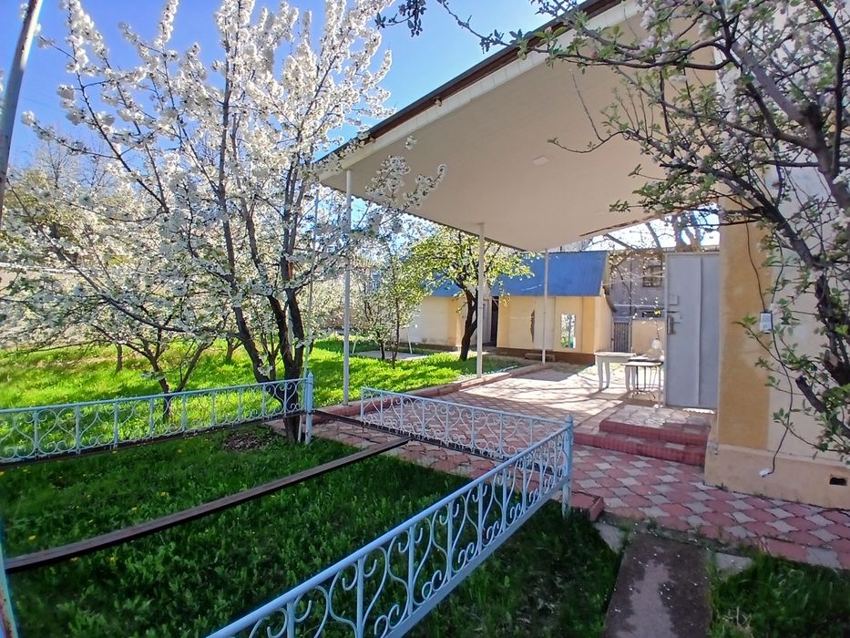 Dala hovli sotiladi kumushkonda 6 sotix