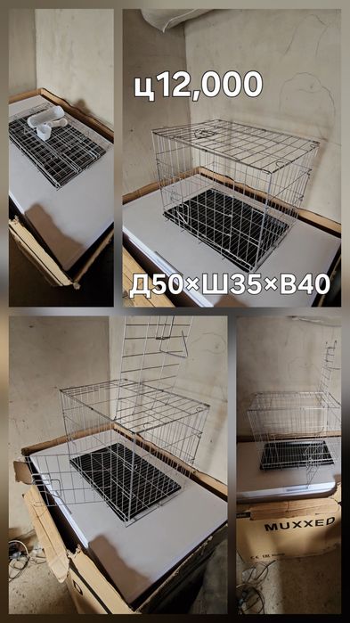 Голуби в удобстве