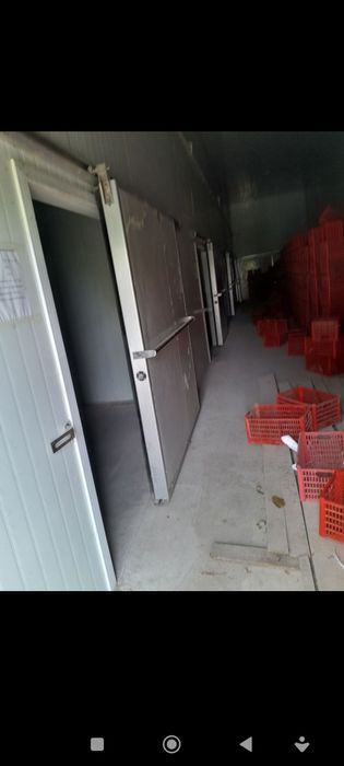 300 tonnalik muzlatkich ijaraga beriladi.