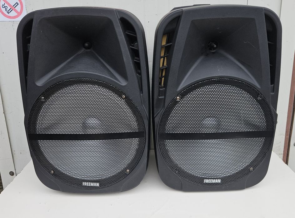 Set boxe Freeman de 12" pasive.