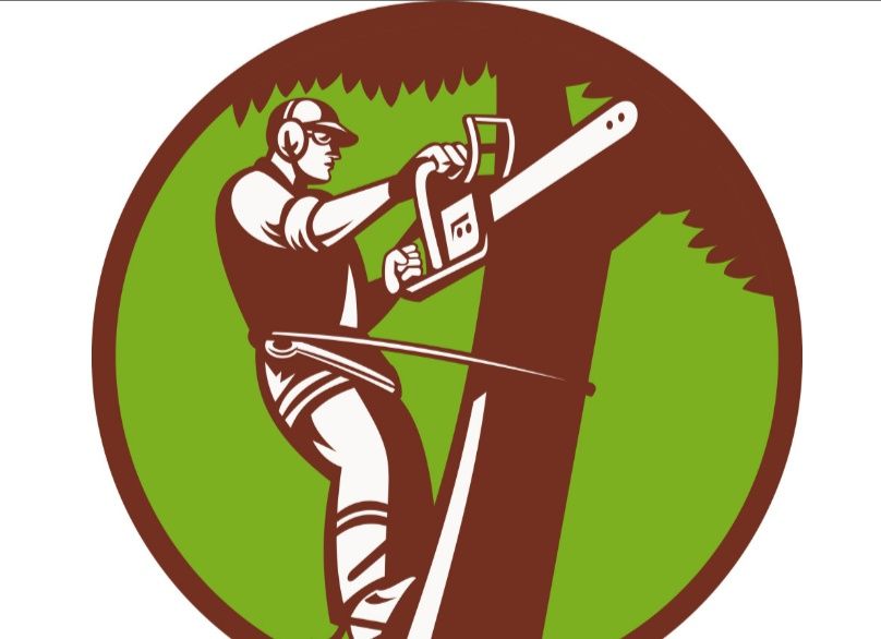 Уборка деревьев любой сложности