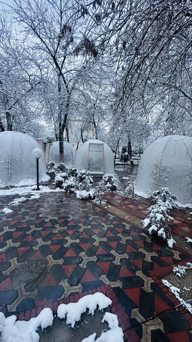 Tayyor kapsulalar sotiladi.