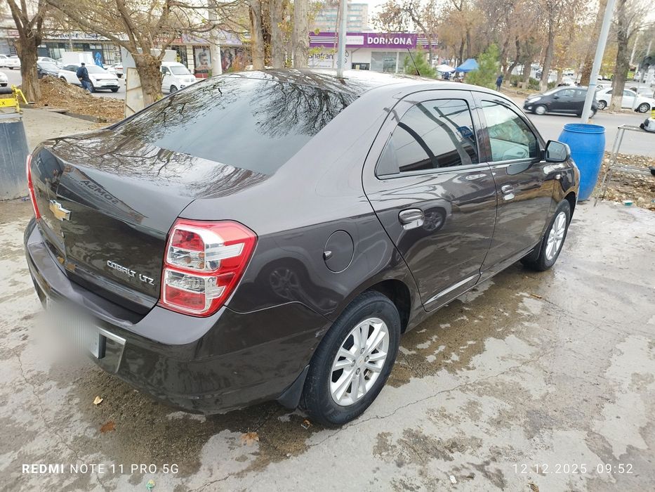 2021 краска тозза