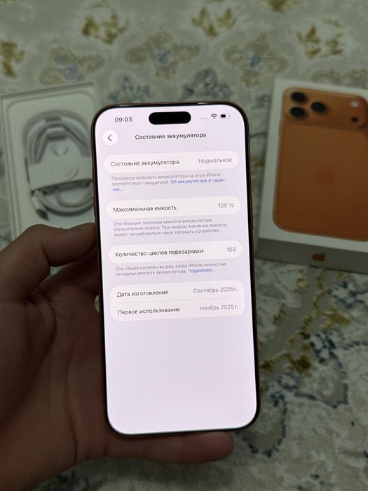 Айфон iPhone 17 Pro Max 256GB 100% Sim
