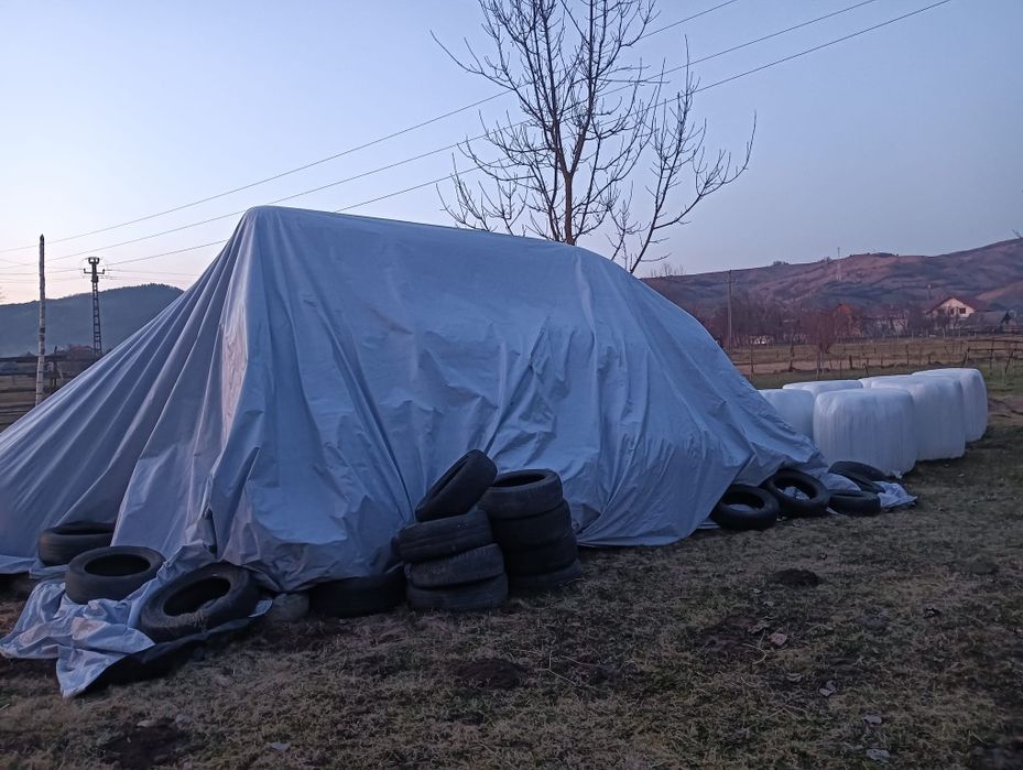 Baloți Lucernă de vânzare