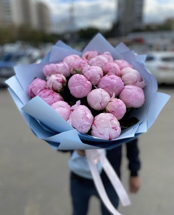 Сорт Сара Бернар пионы розы