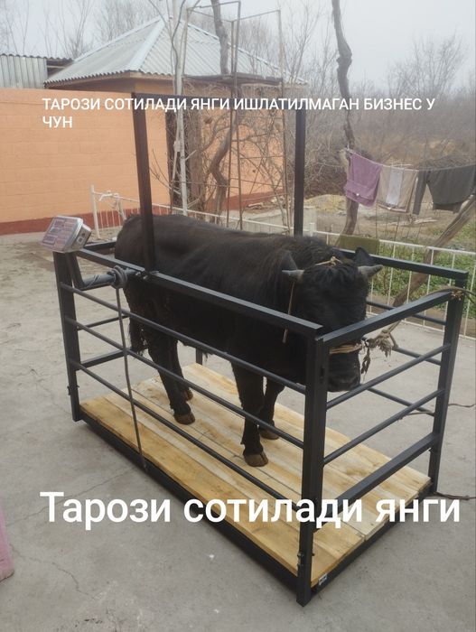 Тарози сотилади бизнеса яхши