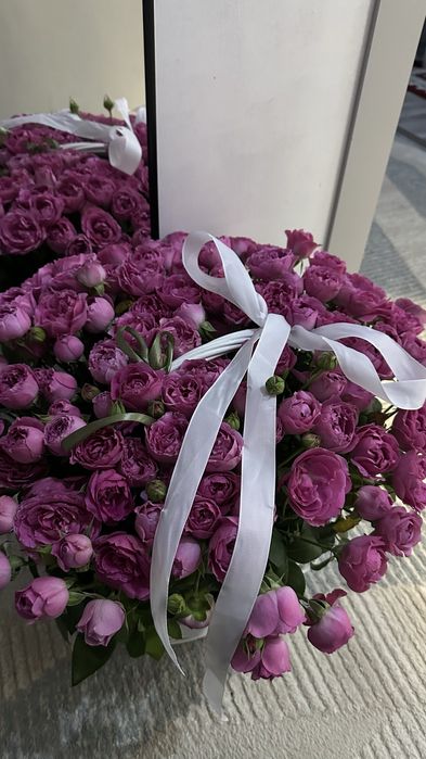 Продам цветы,свежие