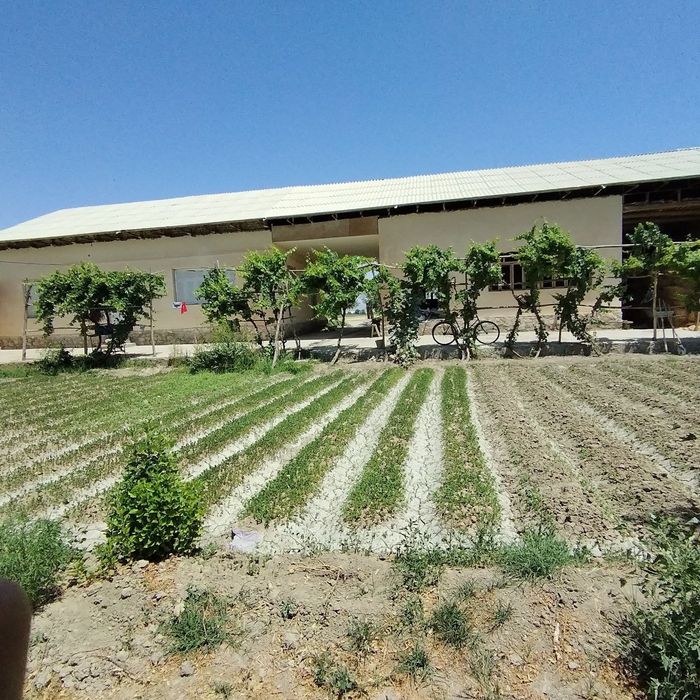 Нарпай 3. Ховли сотилади 370 млн