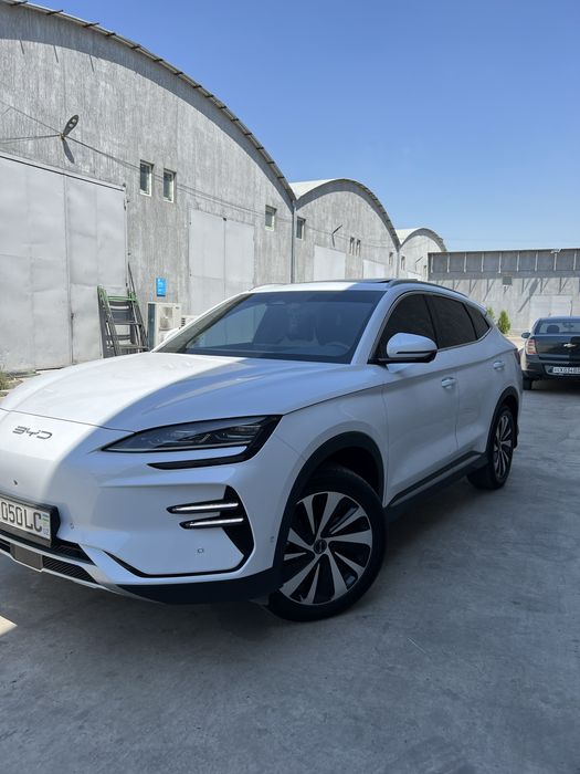 Byd song plus champion 605