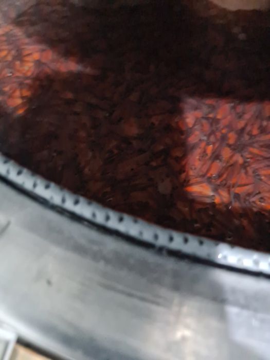 Мальки  радужный форель