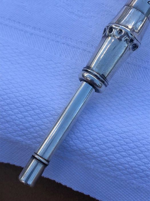 Lupa si pixuri de argint