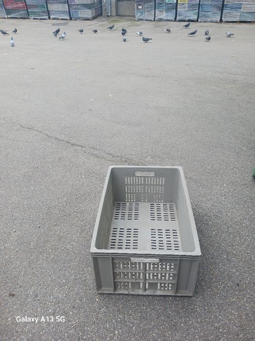 Lazi plastic utilizate