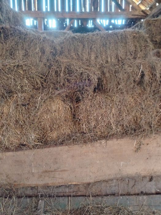 Baloți de fân de calitate