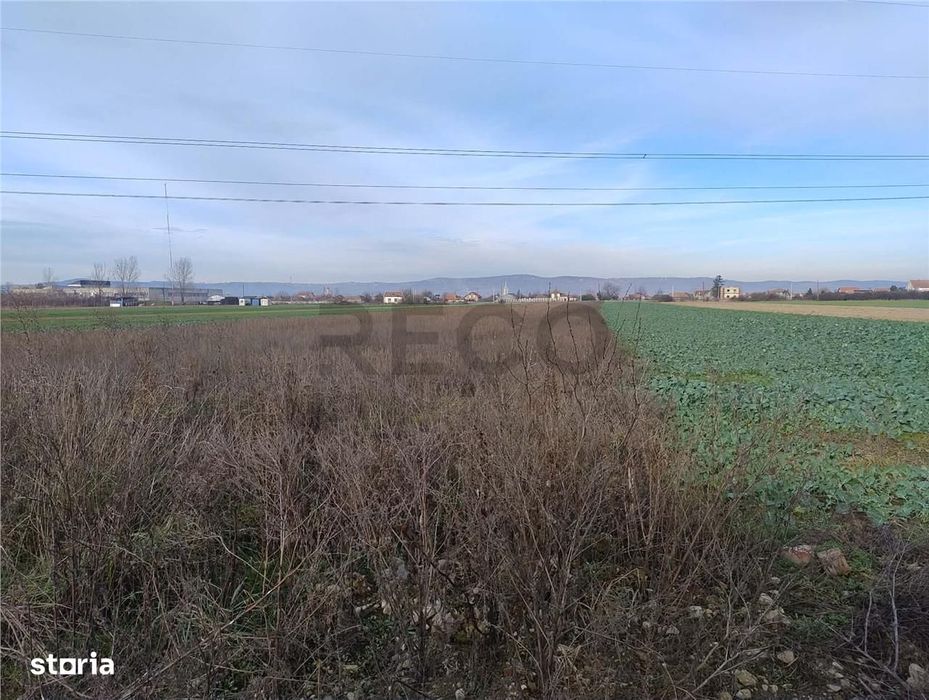RECO Teren intravilan in Osorhei 5500mp dublu front