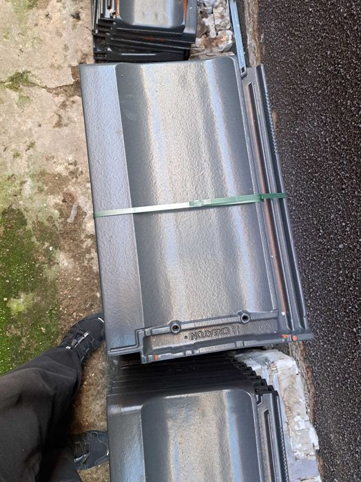 Tigla creaton nomina