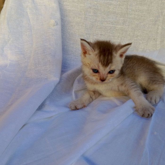 Сотилади срочна арзон нархларда‼️