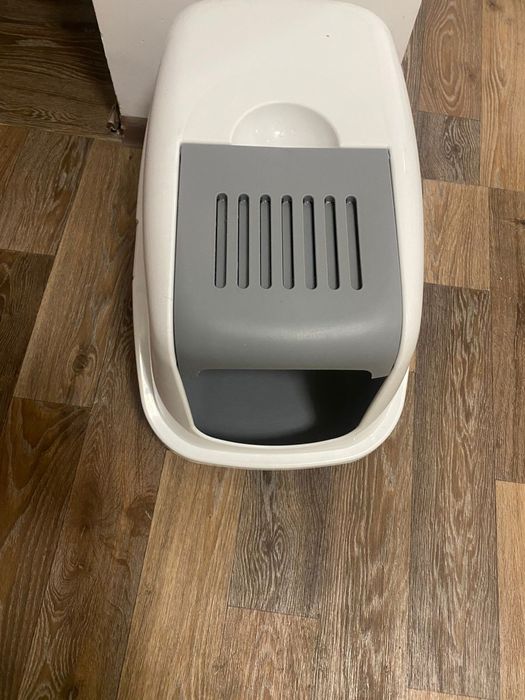 Продам породистую кошку