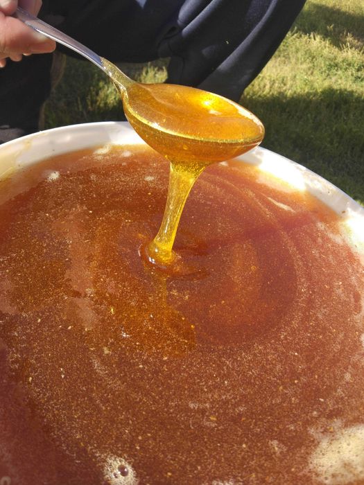 Мёд 2025года !!! С доставкой.