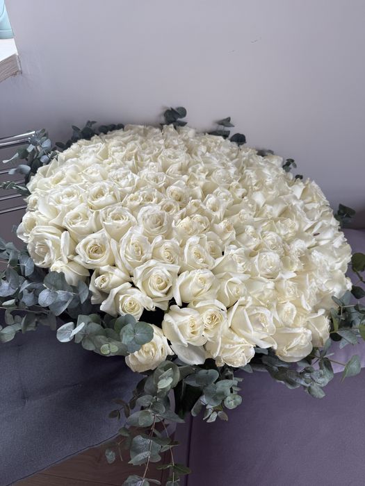 151 роза метровая