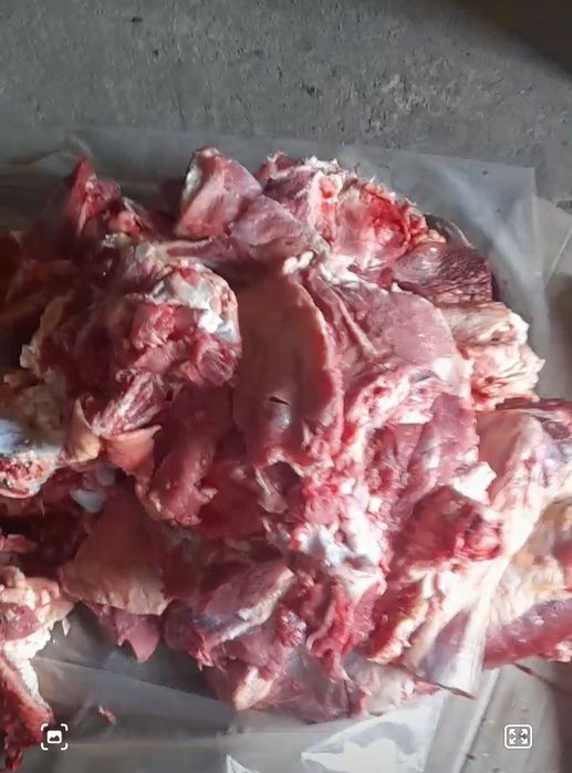 Продажа мясо баранины
