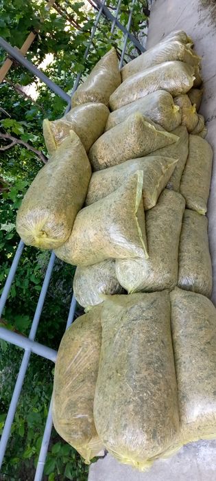 Слес, slos sotiladi