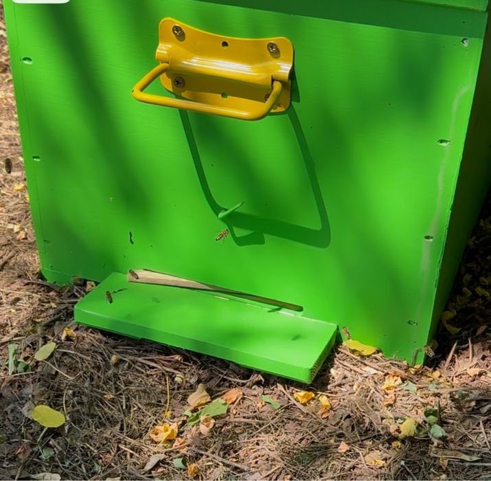 Cutii stupi 10 rame verticali cat 1/1