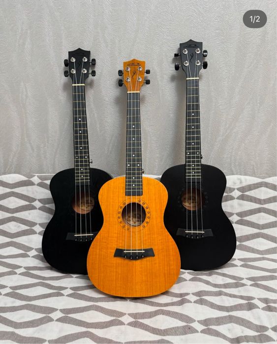 Гитара, домбыра, чехлы и қамшы