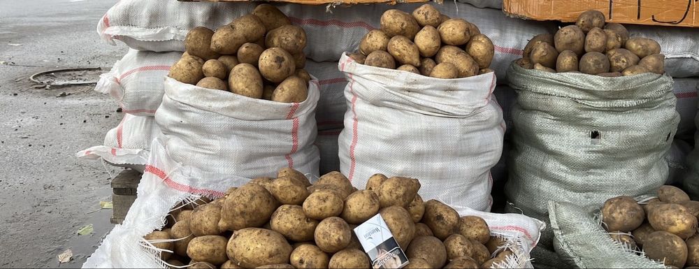 Картофель картошка