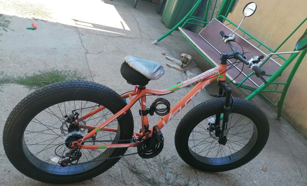 Bicicleta Fat-Bike Wolf Velors V2605D
