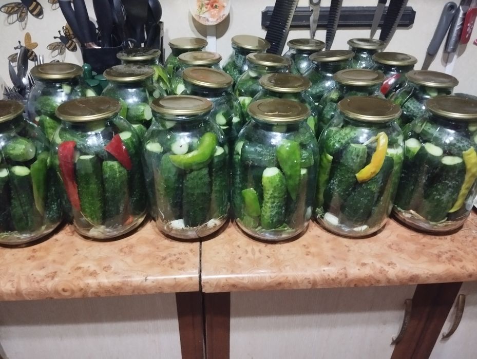 Продам солёные огурцы!