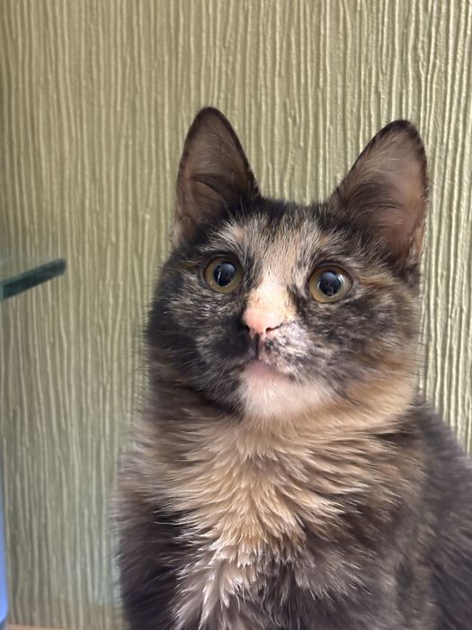 Только ответственным